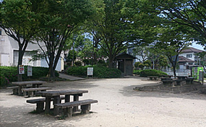 室見川河畔公園　野生の広場